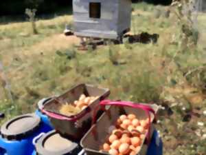 photo Visite commentée de la ferme du Devès