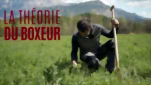 photo Les Zigolos: Cinéma: projection du film documentaire la théorie du boxeur