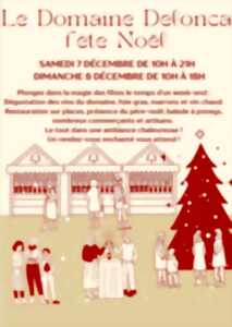 photo LE DOMAINE DELONCA FÊTE NOËL