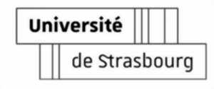 photo Atelier self-défense à destination des étudiant·es et/ou du personnel universitaire