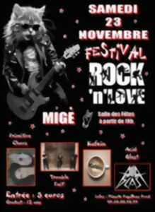 photo Festival Rock'n'Love