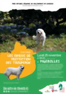 photo Ciné-débat : Les chiens de protection des troupeaux