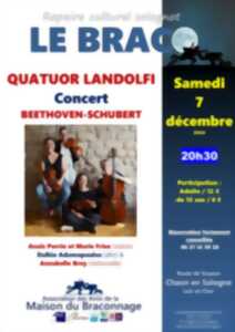 photo Concert Quatuor Landolfi