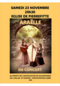 photo Concert de harpe et guitare avec le duo 