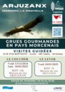 photo Les grues gourmandes en Pays Morcenais - Le coucher