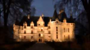 photo Nocturne au château d'Azay le Rideau