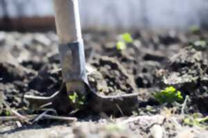 photo Les Ateliers de la Simplicité : Atelier jardin sol vivant