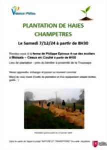 photo Plantation de haies champêtres