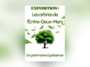 photo Exposition permanente : « Les arbres de l'Entre-deux-Mers, un patrimoine à préserver »