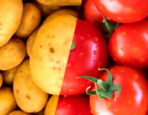 photo CONFERENCE A LA MEDIATHEQUE : VOYAGE DES LÉGUMES ET DE LEURS NOMS