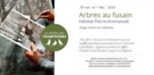 photo Atelier - Arbres au fusain