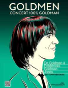 photo Goldmen : Concert 100% Goldman