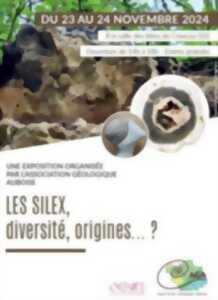 photo Exposition géologique : “Les Silex” à la salle des fêtes de Crancey