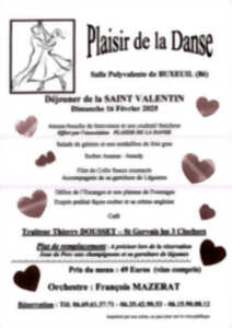 Saint Valentin Plaisir de la Danse