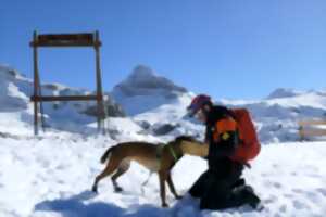 Démonstration de recherche avec un chien d’avalanche