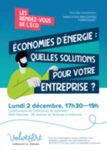 LES RENDEZ-VOUS DE L'ÉCO - ÉCONOMIES D'ÉNERGIE : QUELLES SOLUTIONS POUR VOTRE ENTREPRISE ?