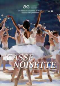 photo CASSE-NOISETTE DE L'ACADEMIE DE DANSE DANIELA GIHR