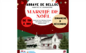 photo Marché et animations de Noël