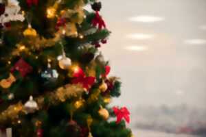 photo MARCHÉ DE NOËL DE SAINT-ANDRÉ-DE-SANGONIS