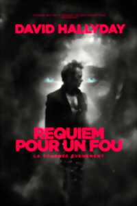 photo David Hallyday - Requiem pour un fou