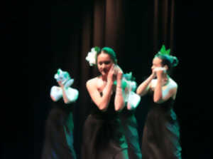 photo Danse |  Gala de danse des élèves de l'Amem