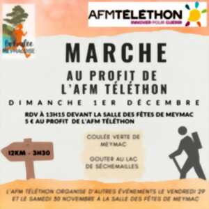 Marche au profit du Téléthon