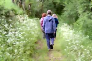 photo Randonnée à ST PANTALY D'ANS organisée par Les Pieds dans l’herbe.