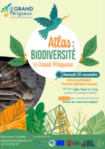 photo Atlas de la Biodiversité - Eglise neuve de Vergt - 30.11.2024