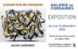 photo Exposition d'Alexis Gardères : la beauté lente des cataclysmes