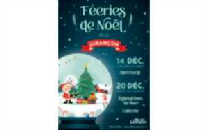 photo Féeries de noël