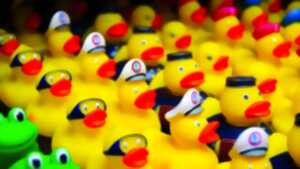 photo LA DUCK RACE