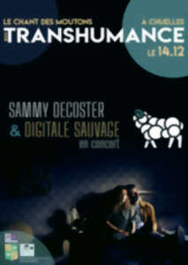 photo Le Chant des Moutons en Transhumance - Sammy Decoster & Digitale Sauvage