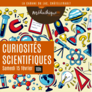 Atelier curiosités scientifiques