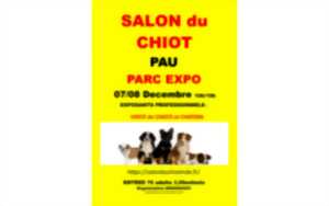 Salon du chiot