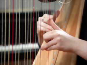 photo [Musique] Découverte d'instruments : l'accordéon et la harpe