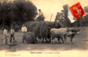 photo Causerie « Fenaisons et prairies usagères »