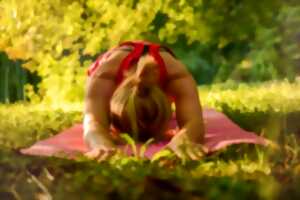 photo ATELIER DE YOGA IYENGAR