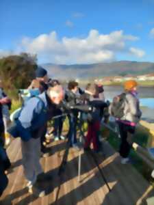 photo Ornithologie transfrontalière sur la baie de Txingudi