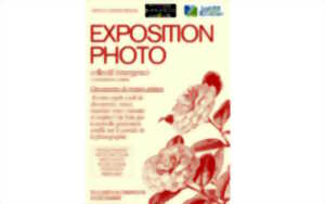 Exposition photo par le Collectif Emergence 