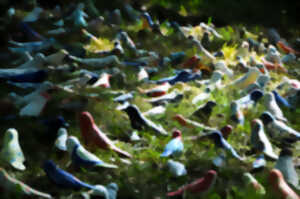 photo Mille oiseaux, un outil de transmission de la paix - atelier ENSAD - Limoges