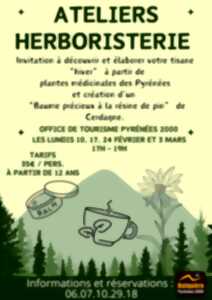 photo ATELIER HERBORISTERIE