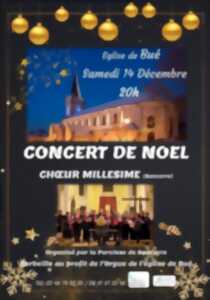 photo [Noël en Grand Sancerrois] Concert de Noël du Chœur Millésime