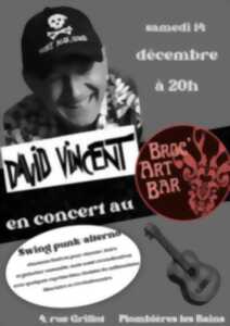 photo DAVID VINCENT EN CONCERT