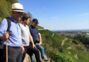 photo Balade immersive dans le vignoble du Rangen