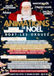 photo Animations de Noël