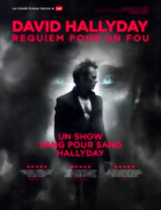 photo David Hallyday en concert : Requiem pour un fou