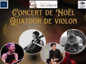 photo Concert de Noël : Quator à cordes