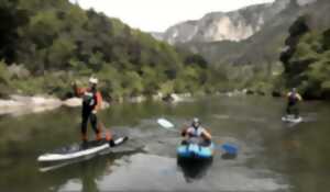 photo STAGES STAND-UP PADDLE