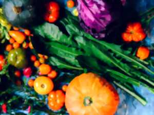 Marché traditionnel