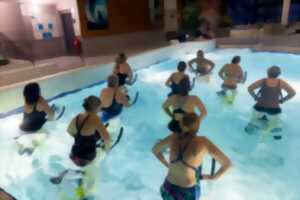 photo Programme d'animations adultes - Piscine